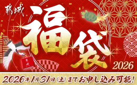 【福袋★2026】カレー倶楽部ルウの26食カレーセット(ビーフ13食&チキン13食)+2食_14-2701-F2026
