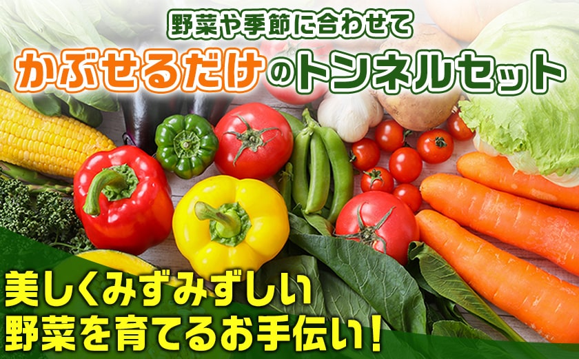 移動式トンネルセット〈BTO-9218〉_22-J402