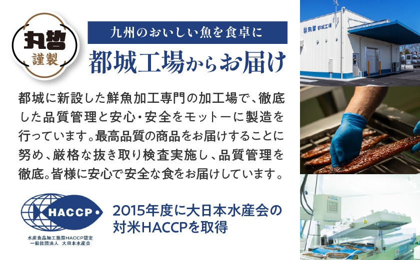 宮崎県育ちの【特大】うなぎ蒲焼3尾680g以上≪山椒・たれ付≫_24-M301