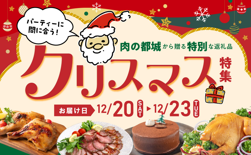 【☆クリスマス☆】宮崎牛ビーフシチュー&骨付き照り焼きチキンセット≪12月20日～23日お届け≫_AA-H302-OJX