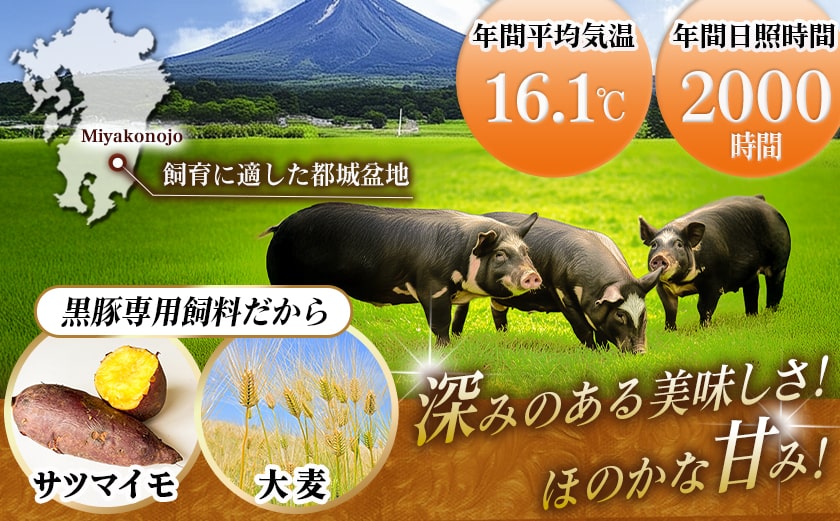 黒豚バラ焼肉用500g&ポークソーセージセット_AA-N402