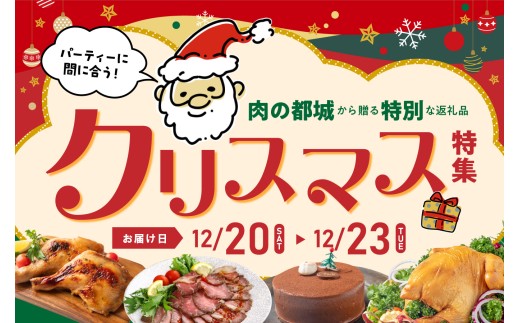 【☆クリスマス☆】ぼんちザウルスの肉10本セット(骨付きハンバーグ)≪12月20日～23日お届け≫_AC-J904-OJX