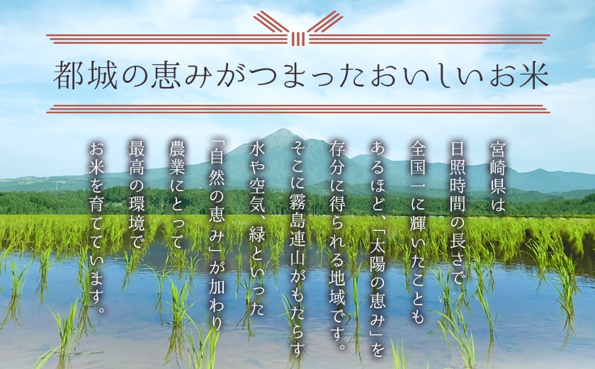 都城産ひのひかり5kg(5kg×1袋)_AO-A701_(都城市) 都城産 お米 5kg ひのひかり