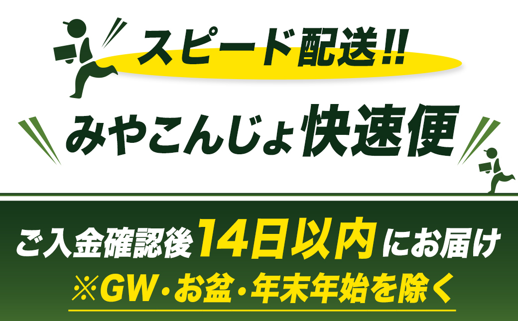 水出し緑茶ティーバッグ13個入り※ポスト投函≪みやこんじょ快速便≫_L2-C301-R