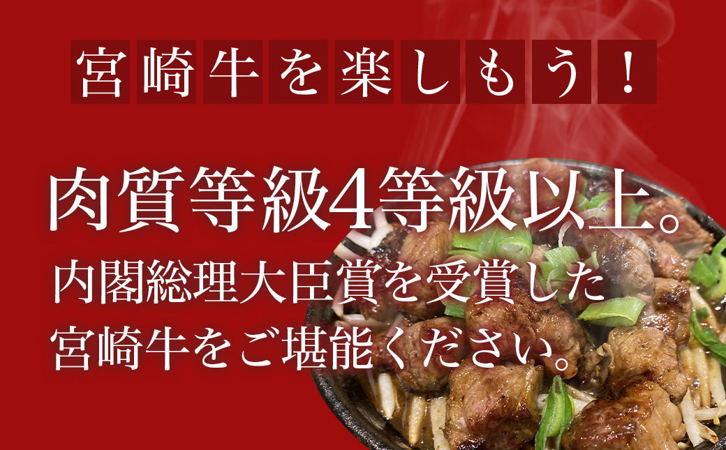 宮崎牛赤身カットステーキ800g_MJ-8930