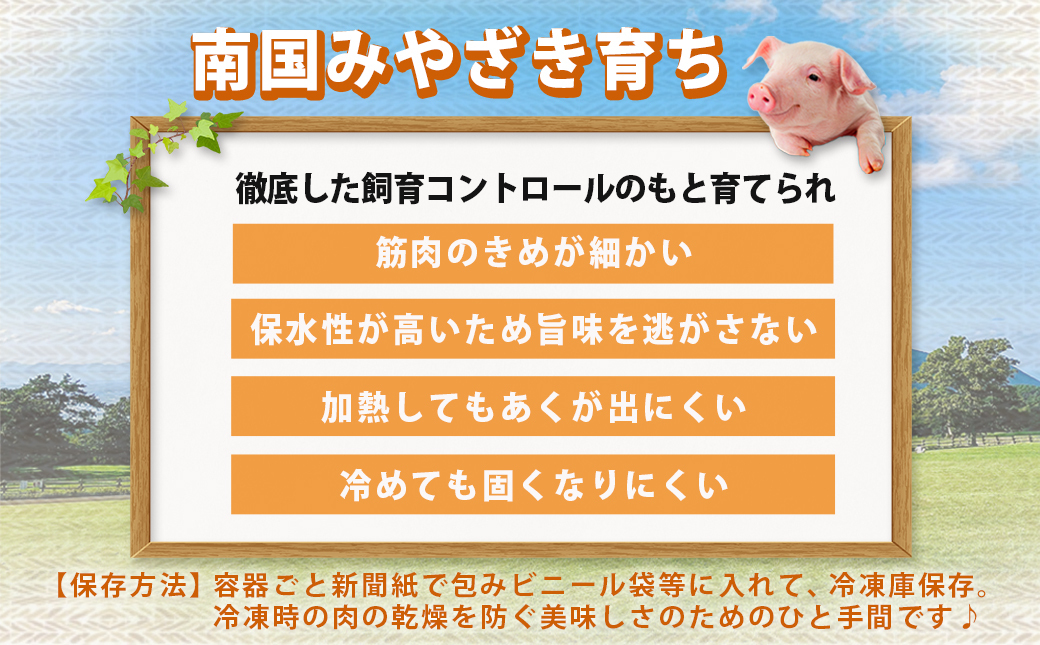 宮崎県産豚肉3kgセット_MJ-M601