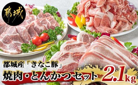 「きなこ豚」焼肉・とんかつセット 計2.1kg_MJ-1204