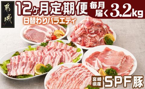 ≪12回連続お届け≫「宮崎SPF豚」日替わりバラエティセット定期便_T192-12-K901