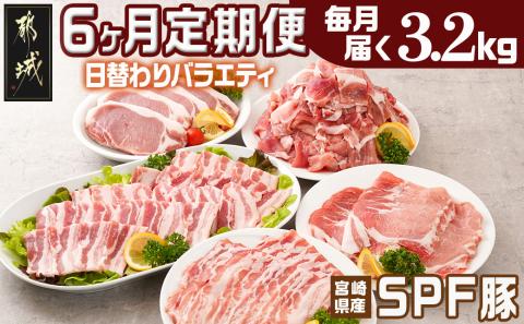 ≪6回連続お届け≫「宮崎SPF豚」日替わりバラエティセット定期便_T96-6-K901