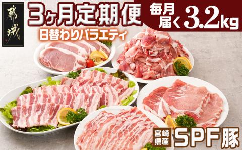≪3回連続お届け≫「宮崎SPF豚」日替わりバラエティセット定期便_T48-3-K901