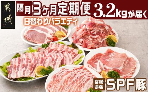 ≪隔月3回お届け≫「宮崎SPF豚」日替わりバラエティセット定期便_T48-3-K902