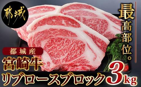都城産宮崎牛リブロースブロック3kg_DI-2501
