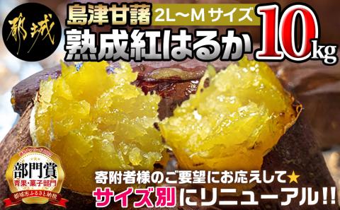 島津甘藷　熟成紅はるか 10kg(2L～M)_AA-A701
