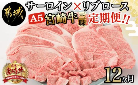 【A5】宮崎牛サーロイン×宮崎牛リブロース三昧定期便(12ヶ月)_TAE12-0101