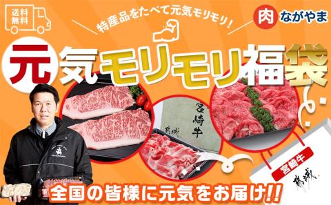 【元気モリモリ福袋】宮崎牛切り落とし・鉄板焼き用サーロイン2枚セット_AE-2501_【肉 牛肉 切り落とし 焼き肉 焼肉  ステーキ スライス すき焼き しゃぶしゃぶ 人気 おすすめ 国産】