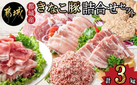 「きなこ豚」詰合せ3kg_MA-1206