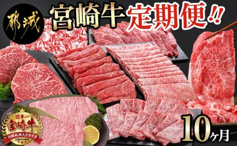 宮崎牛定期便(10ヶ月)_T120（10）-0103