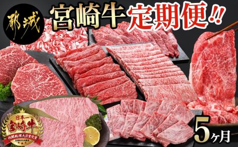 宮崎牛定期便(5ヶ月)_T60（5）-0102