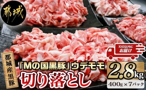 都城産黒豚「Mの国黒豚」切り落とし2.8kg≪みやこんじょ特急便≫_MJ-0108-Q