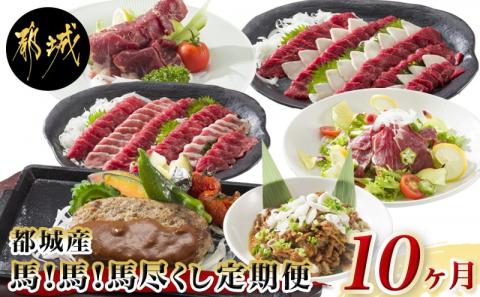 都城産馬!馬!馬尽くし定期便(10ヵ月)_T80(10)-0101