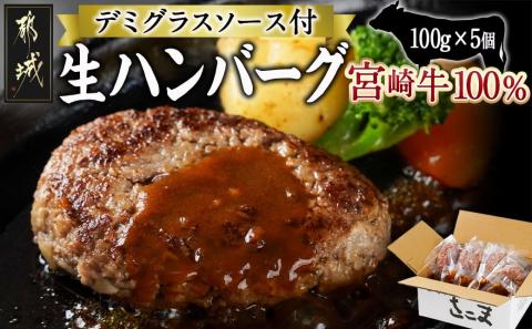 宮崎牛100％使用の生ハンバーグ≪100g×5個≫_AO-7702