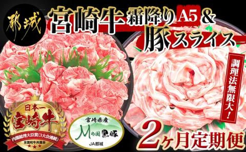 調理法無限大!宮崎牛霜降り(A5)&豚スライス定期便(2ヶ月)_T30（2）-0103