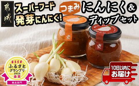 スーパーフード!つまみにんにく&ディップセット ≪みやこんじょ特急便≫_AA-C902