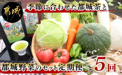 季節に合わせた都城茶と都城野菜のセット定期便(5回)_T40（5）-3701