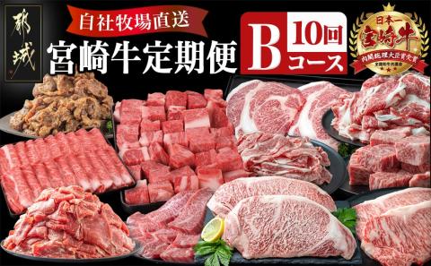 宮崎牛定期便(10回お届け) Bコース_T80(10)-2502