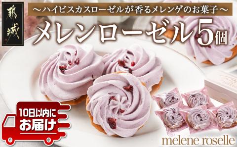 ハイビスカスローゼルが香るメレンゲのお菓子☆メレンローゼル≪みやこんじょ特急便≫_LF-C204-Q