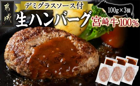 宮崎牛100％使用の生ハンバーグ≪100g×3個≫_AA-7702