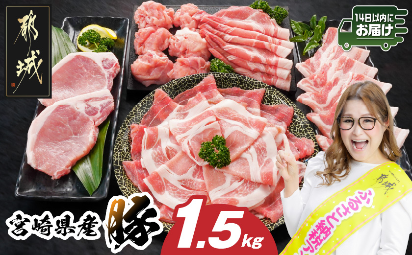 宮崎県産豚わくわく1.5kgセット(真空)≪みやこんじょ快速便≫_11-8401-s-R