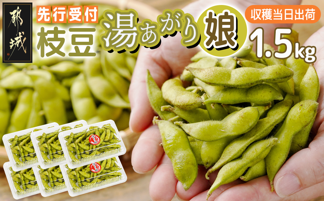 【先行受付】都城産枝豆(湯あがり娘)1.5kg(250g×6P)_11-B402-7