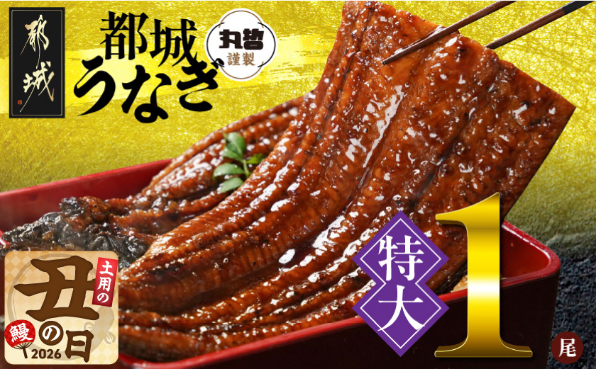 【丑の日】宮崎県育ちの【特大】うなぎ蒲焼1尾210g以上≪山椒・たれ付≫≪7月20日～25日お届け≫_11-M301-UG