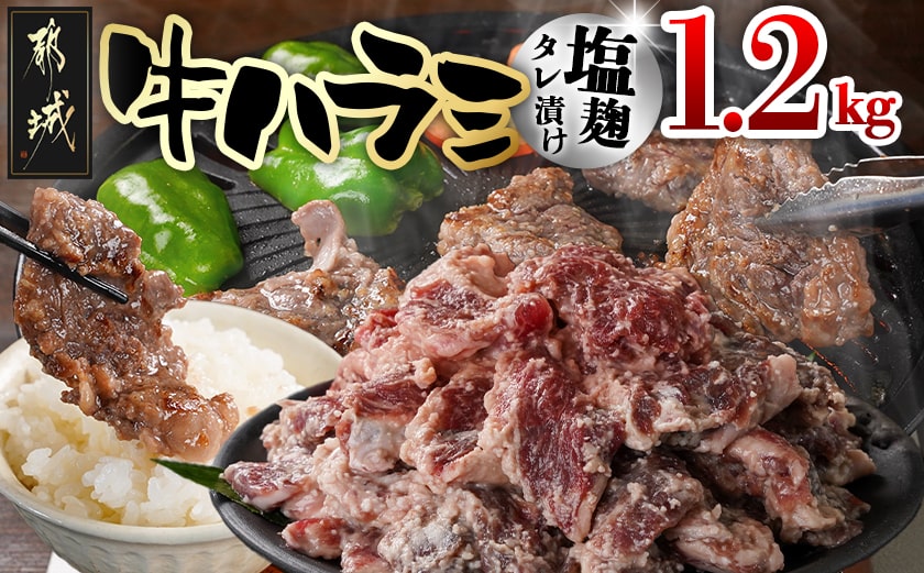 牛ハラミ 塩麹タレ漬け1.2kg_12-3310_【肉 牛肉 焼き肉 焼肉 人気 おすすめ】