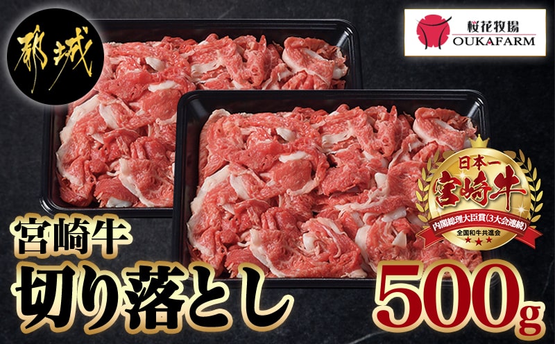 宮崎牛切り落とし500g_12-6503_【肉 牛肉 切り落とし 焼き肉 焼肉 スライス すき焼き しゃぶしゃぶ 人気 おすすめ 国産】