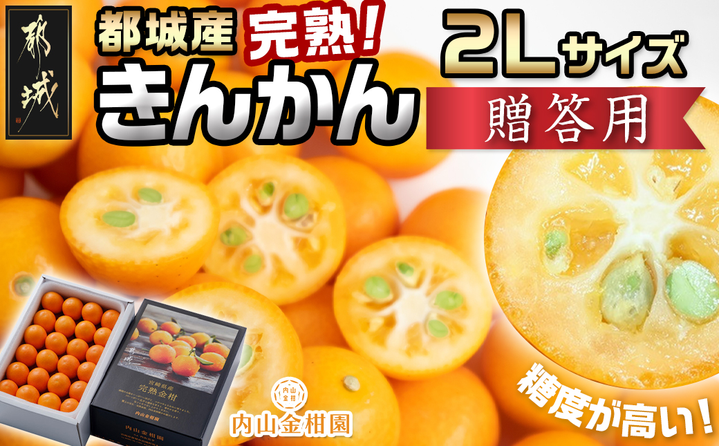 【先行受付！】【2月～3月お届け】都城産完熟きんかん 贈答用(2Lサイズ)_12-B502