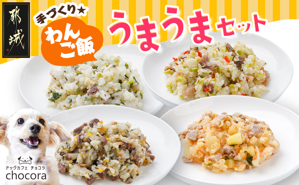 手づくり☆わんご飯『うまうまセット』_12-J501