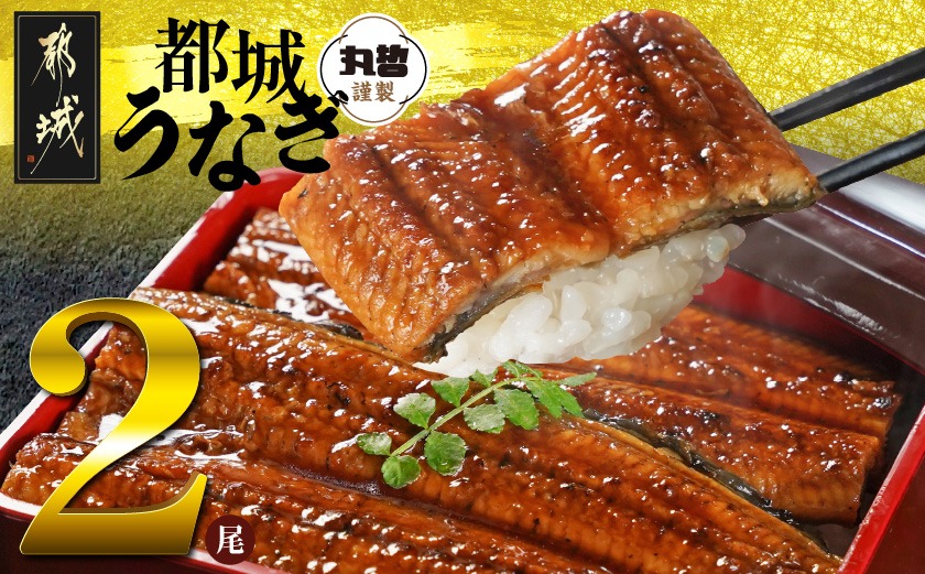 宮崎県育ちのうなぎ蒲焼2尾300g以上≪山椒・たれ付≫_12-M301