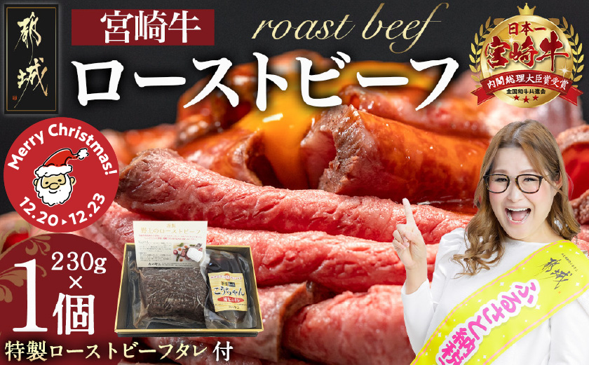 【☆クリスマス☆】宮崎牛ローストビーフ230g×1個≪12月20日～23日お届け≫_13-2601-OJX