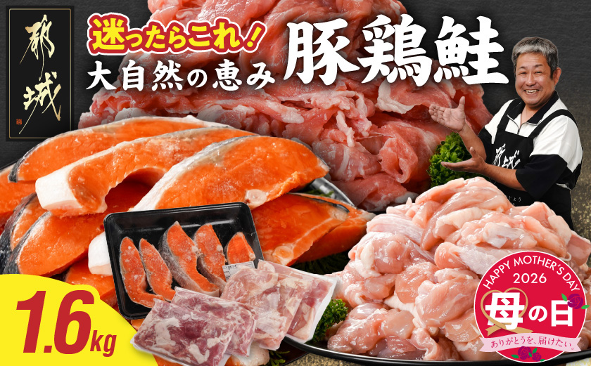 【母の日】≪肉×魚≫小分け3種セット(豚切り落とし250g×2P・鶏モモカット済300g×2P・銀鮭500g)≪5月7日～10日お届け≫_13-8402-MG