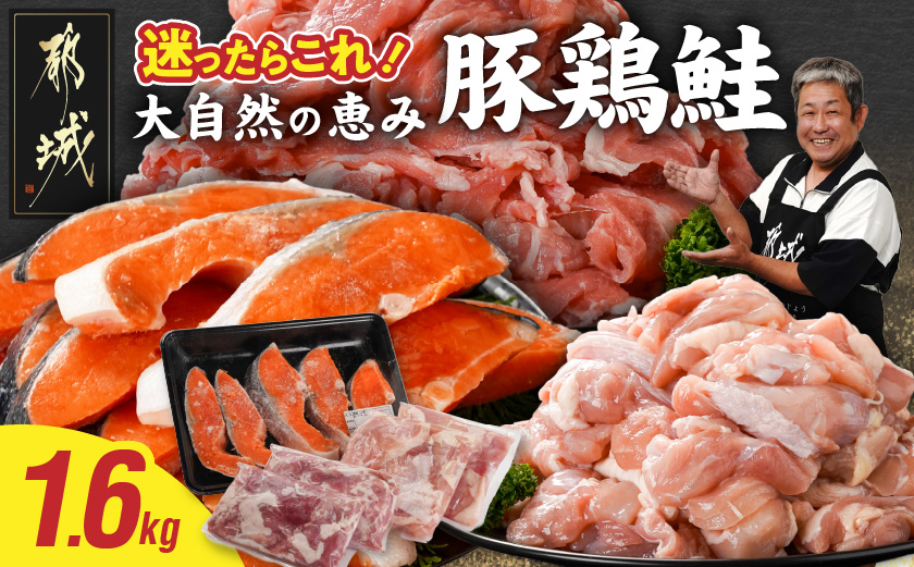 ≪肉×魚≫小分け3種セット(豚切り落とし250g×2P・鶏モモカット済300g×2P・銀鮭500g)_13-8402