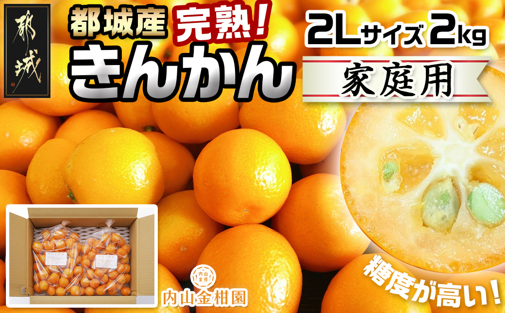 【先行受付！】【2月～3月お届け】都城産完熟きんかん 家庭用2kg (2Lサイズ)_13-B501