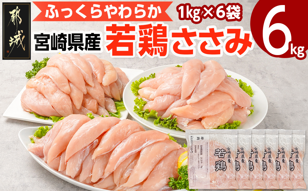 宮崎県産若鶏 ささみ(6kg)_13-G301