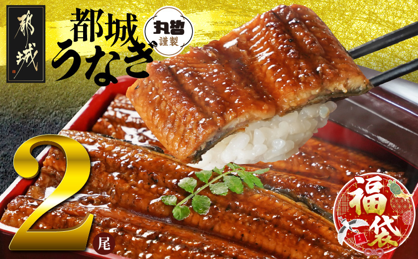 【福袋★2026】宮崎県育ちのうなぎ蒲焼2尾300g以上≪山椒・たれ付≫_13-M301-F2026