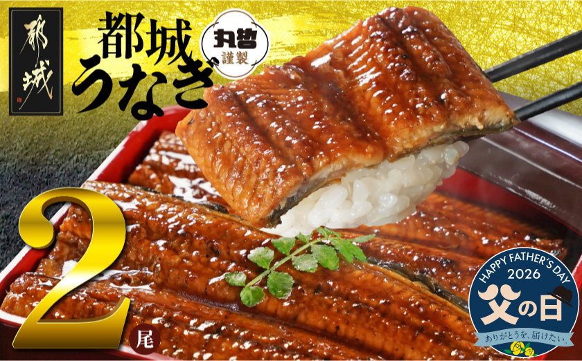 【父の日】宮崎県育ちのうなぎ蒲焼2尾300g以上≪山椒・たれ付≫≪6月18日～21日お届け≫_13-M301-FG