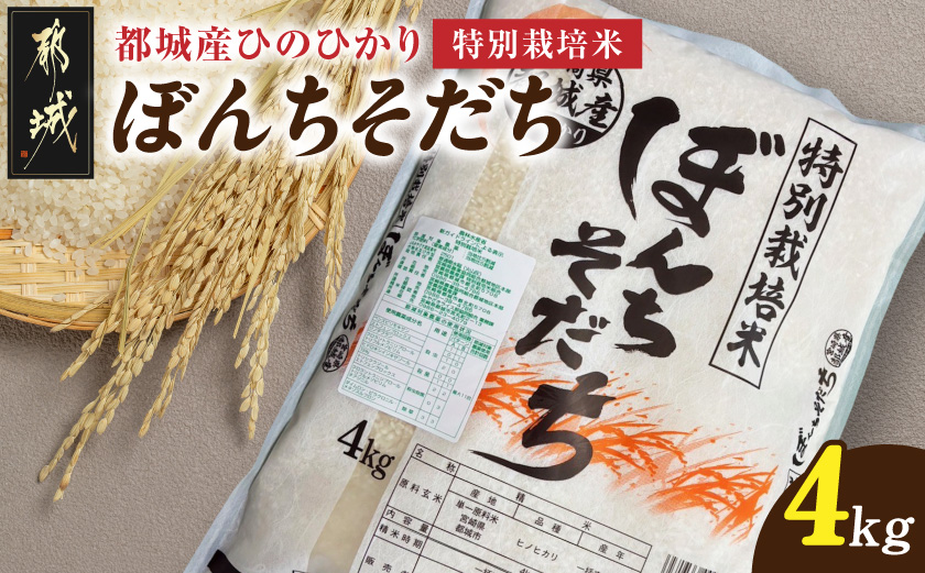 都城産ひのひかり特別栽培米「ぼんちそだち」4kg_13-N501