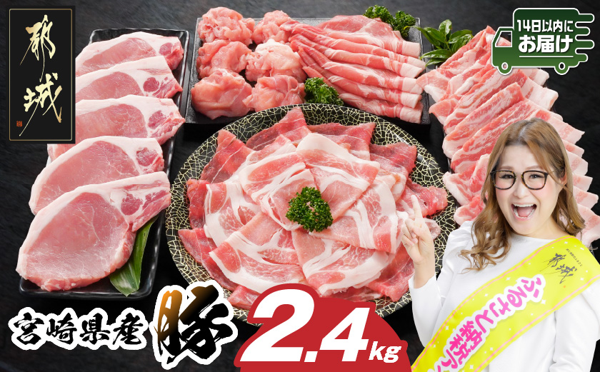 宮崎県産豚わくわく2.4kgセット(真空)≪みやこんじょ快速便≫_14-8406-s-R