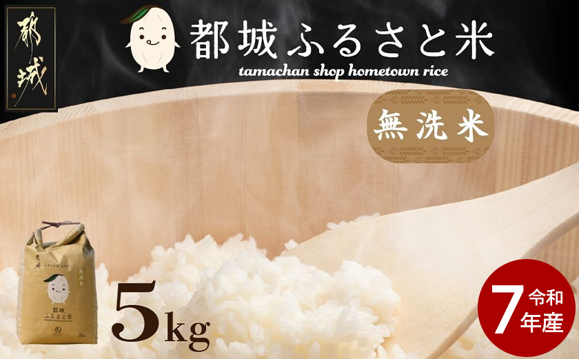 都城ふるさと米(ひのひかり)無洗米5kg_14-9002