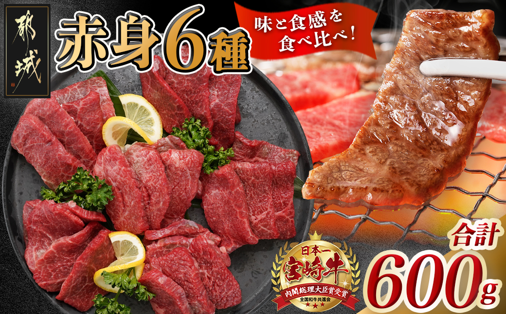 宮崎牛赤身6種600g_16-2601_【肉 牛肉 焼き肉 焼肉 人気 おすすめ 国産 宮崎県産】